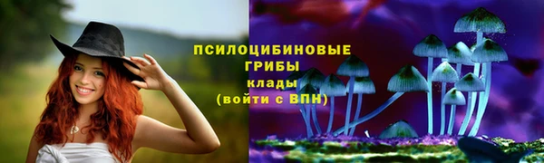 метадон Карпинск