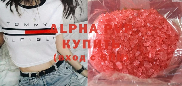ГАЛЛЮЦИНОГЕННЫЕ ГРИБЫ Карталы