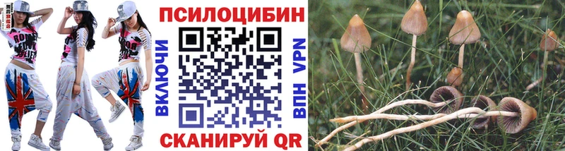 Псилоцибиновые грибы мухоморы  Купить  Кремёнки 